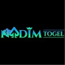 Logo ndmtogel